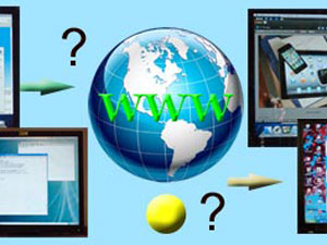 professional wordpress development